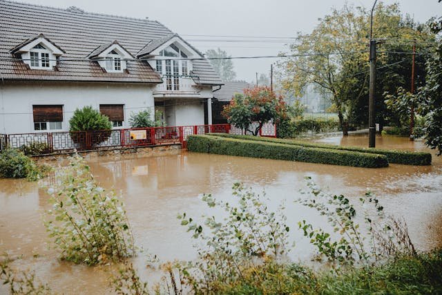 Assurance habitation